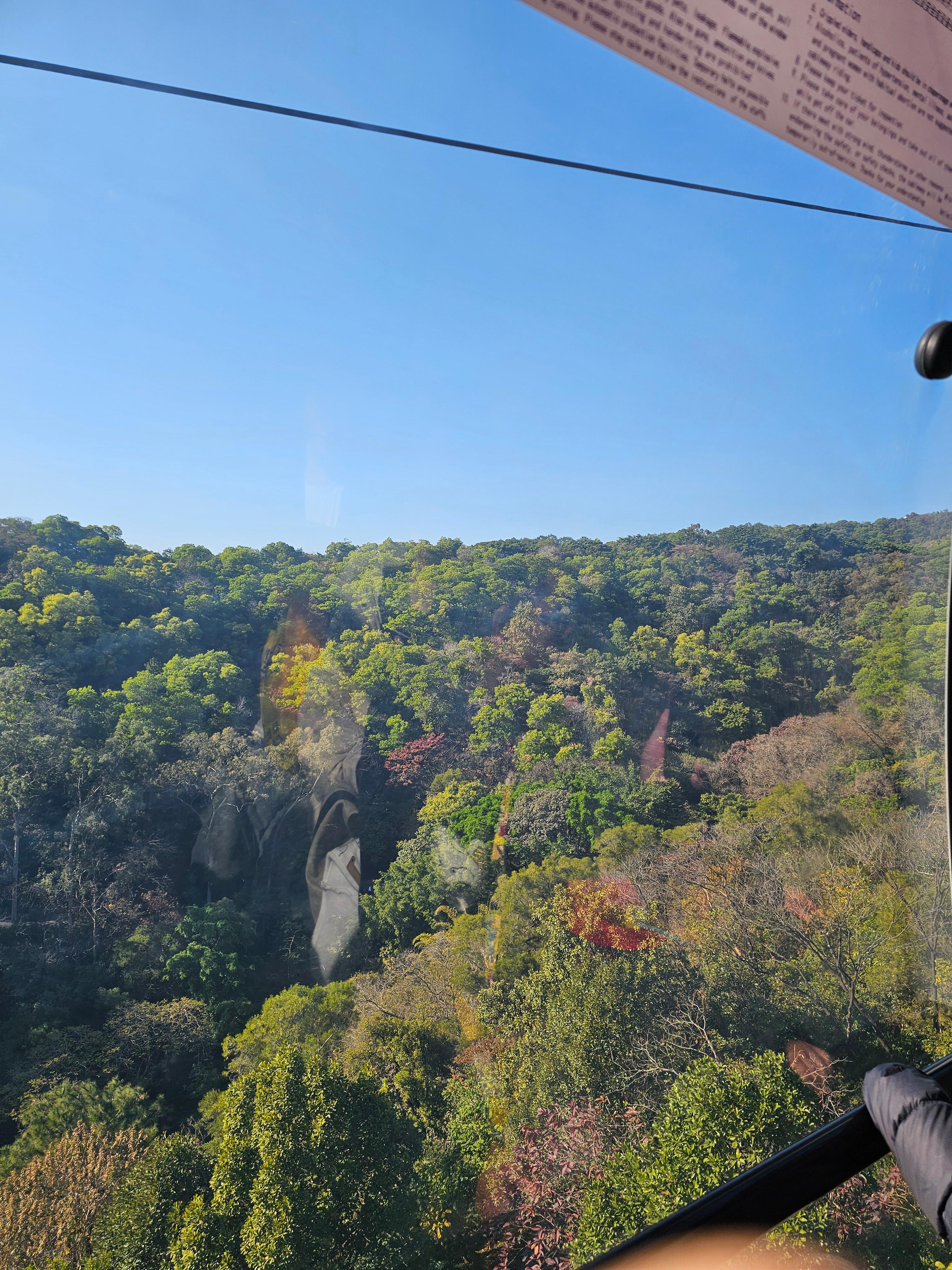 바이윈산 케이블카 타고 후기