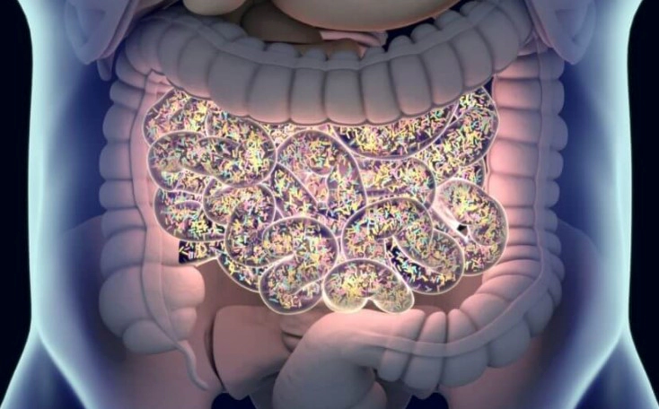 장염 빨리 낫는법 총정리