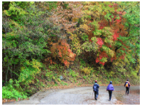 동백여행사 가을 추천 당일 여행