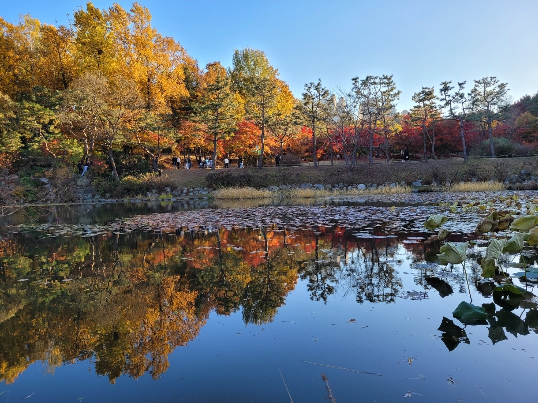 오산 가볼만한곳 - 물향기수목원