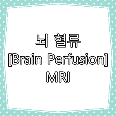 뇌 혈류 [Brain Perfusion] MRI