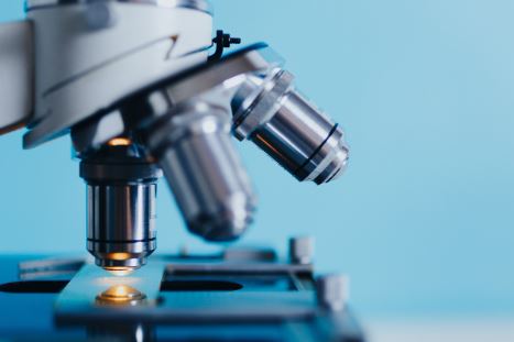 암보험 비갱신형