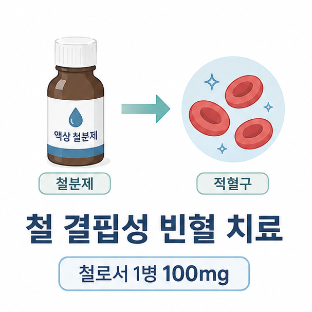 철분제와 적혈구를 연결해 철 결핍성 빈혈 치료와 철분 보충을 설명한 이미지