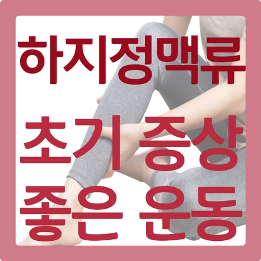 하지정맥류 자가 진단 초기 증상 좋은 운동 예방