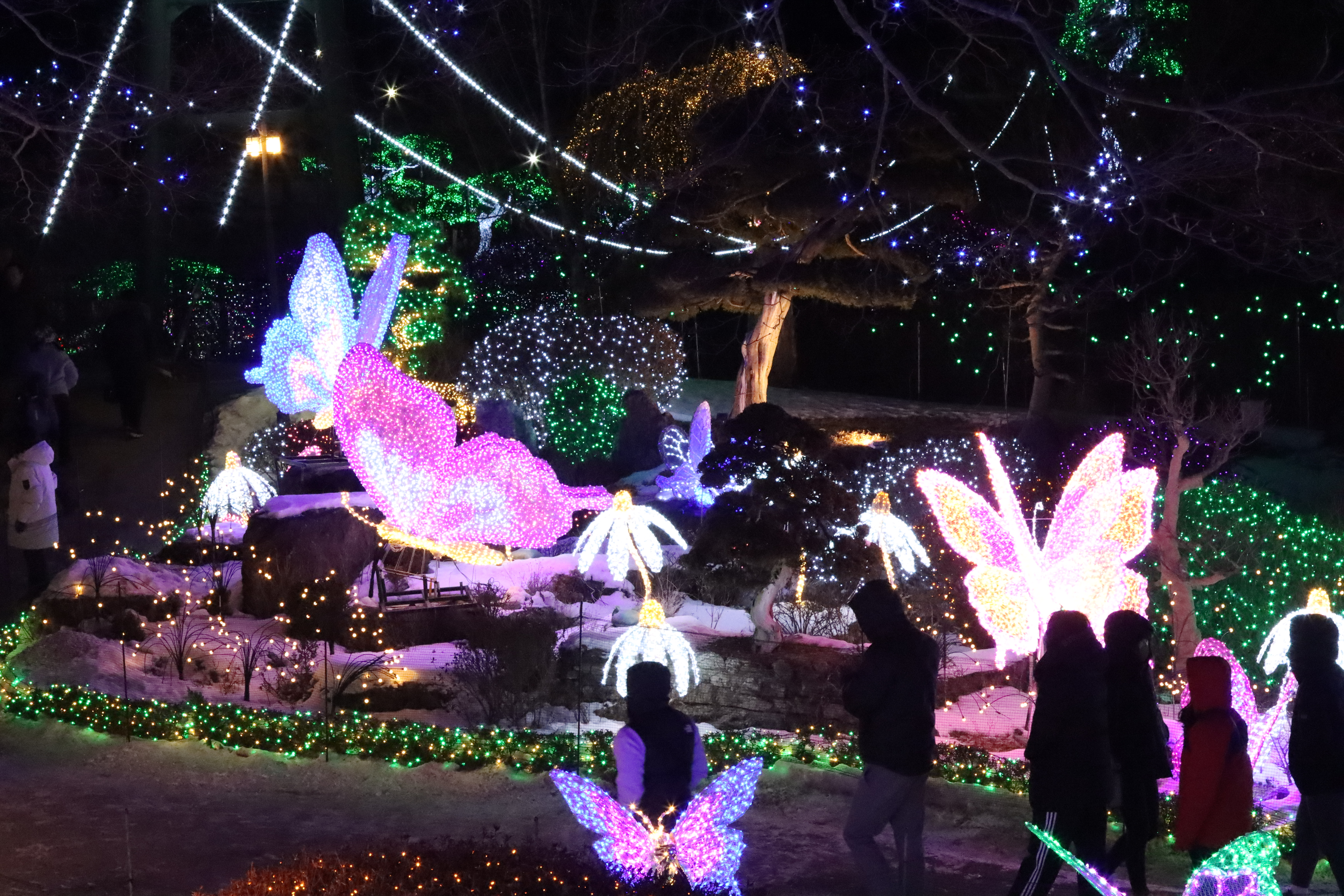 아침고요수목원