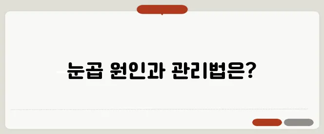 눈곱이 잘 끼는 이유와 눈 건강 관리법