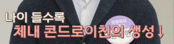 콘드로이친 효능