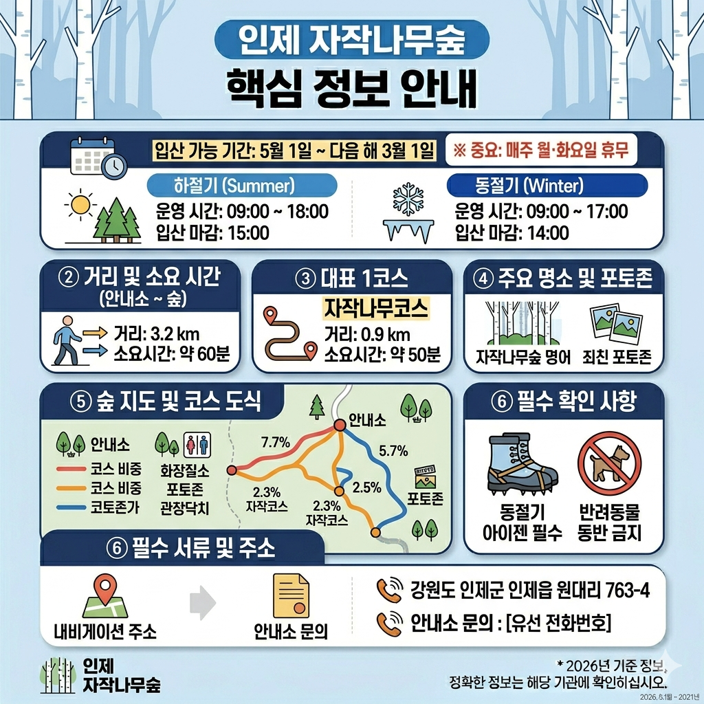 인제 자작나무숲 운영시간&middot;입산마감&middot;코스&middot;주차 정보 인포그래픽