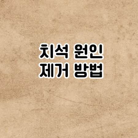 치석 제거하는법 (치석제거기, 치약)