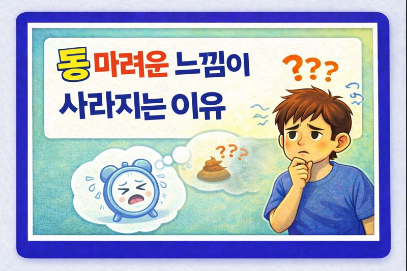 똥 마려운 느낌이 사라지는 이유