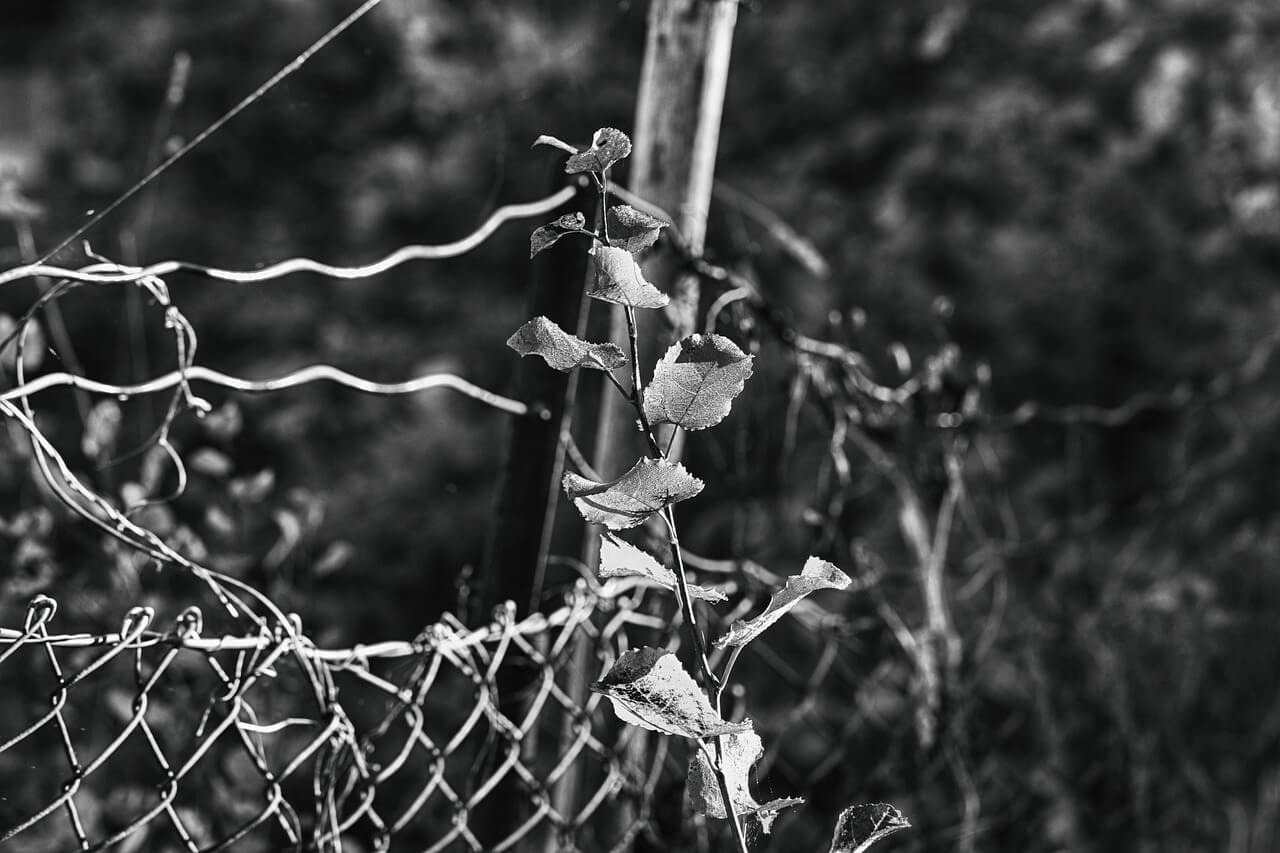 계통진입 기준 완화 방안 (출력제한 해소, 고도화 기술, 정책적 완화)