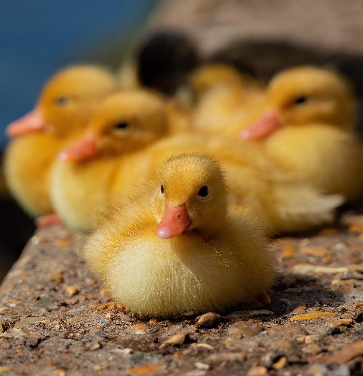 보청기 국가보조금 지원