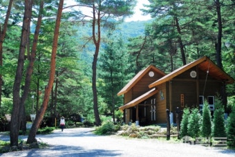 국립 자연휴양림 예약&amp;#44; 왜 나는 안 되고 남들만 될까?