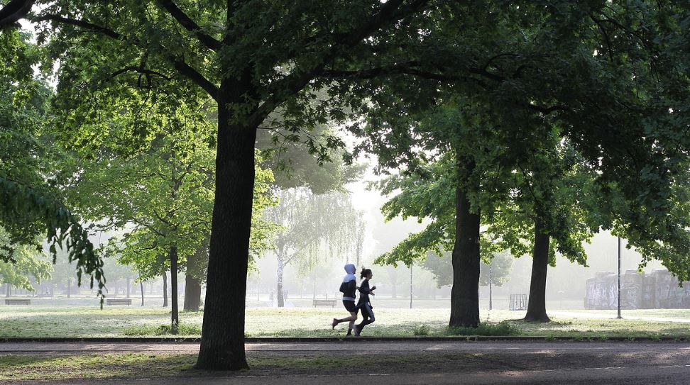 건강한 생활 체크리스트 일상속 웰빙 실천법