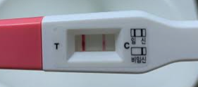 임신테스트기 세로줄