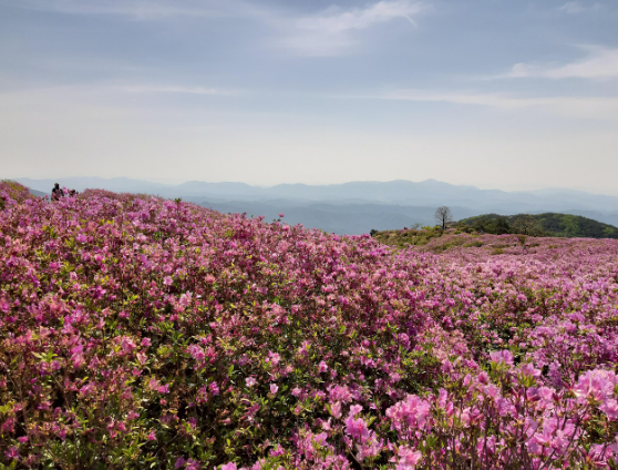 알고 나면 나만 몰랐던 국내 여행 핫플