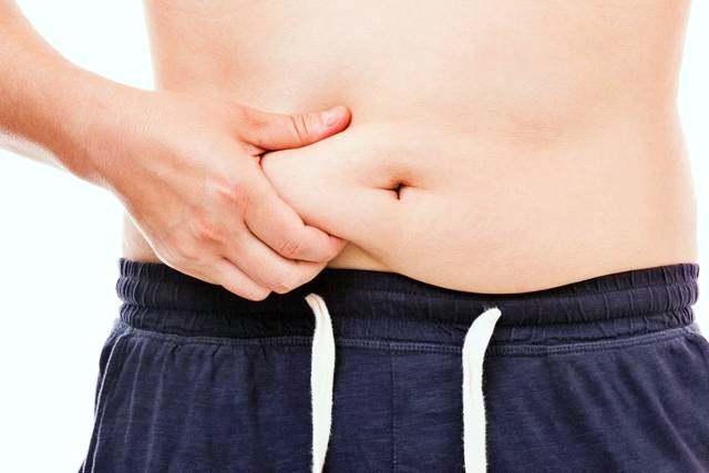 내장지방 체지방 염증 지방 돕는 수국잎 열수 추출물 대표 효능 3가지 및 부작용 알아보기