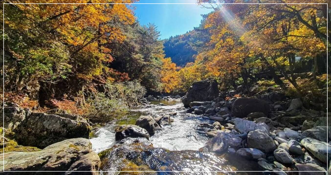 정선 가볼만한곳 베스트10 가리왕산 국립자연휴양림