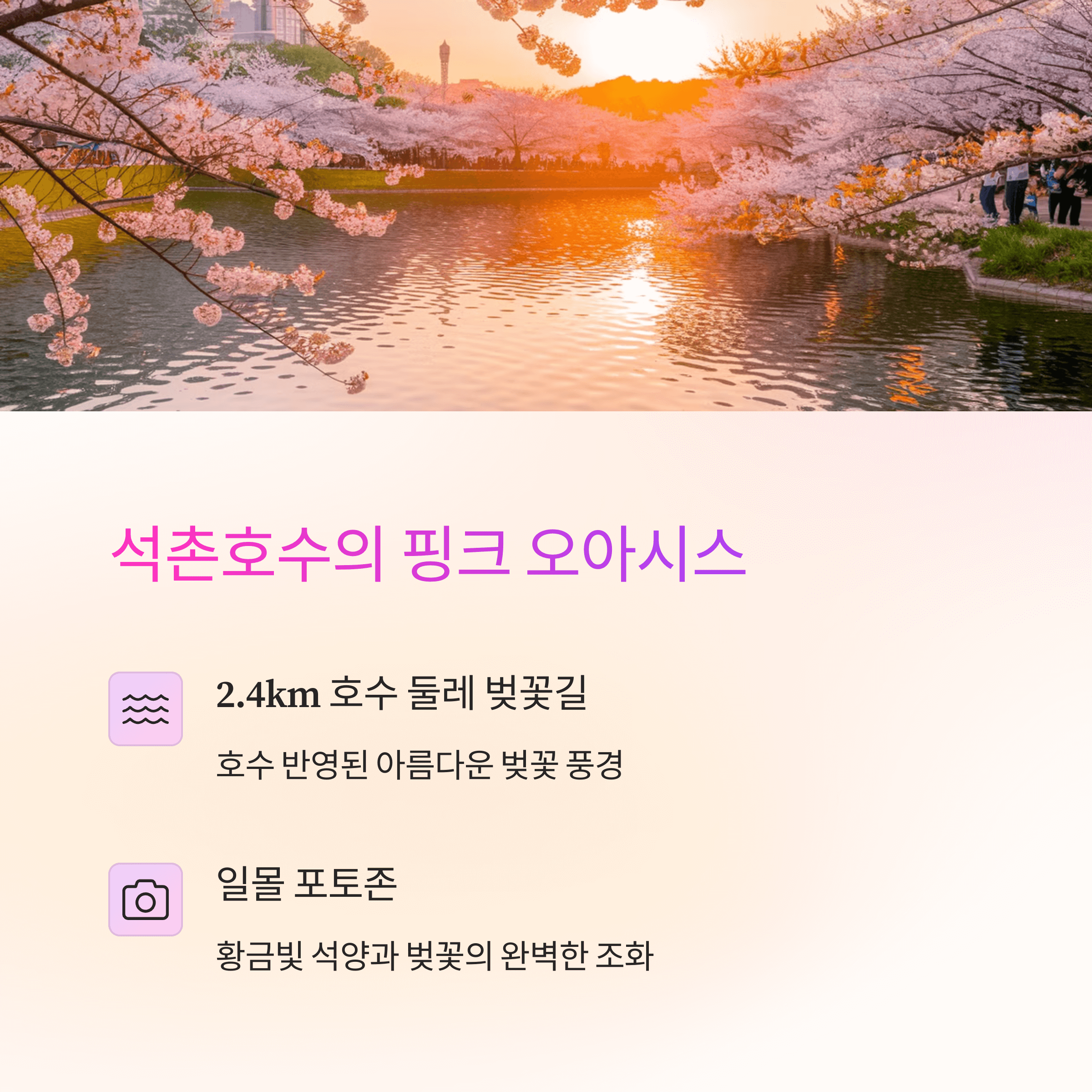 벚꽃 데이트 코스 추천, 로맨틱한 하루를 위한 완벽 가이드