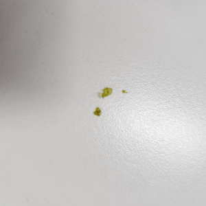 캡슐-담배-캡슐-깨는-법