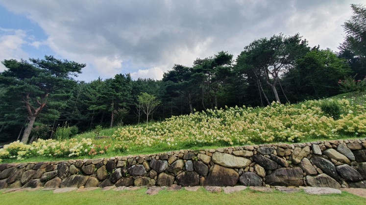경남 산청 수선사