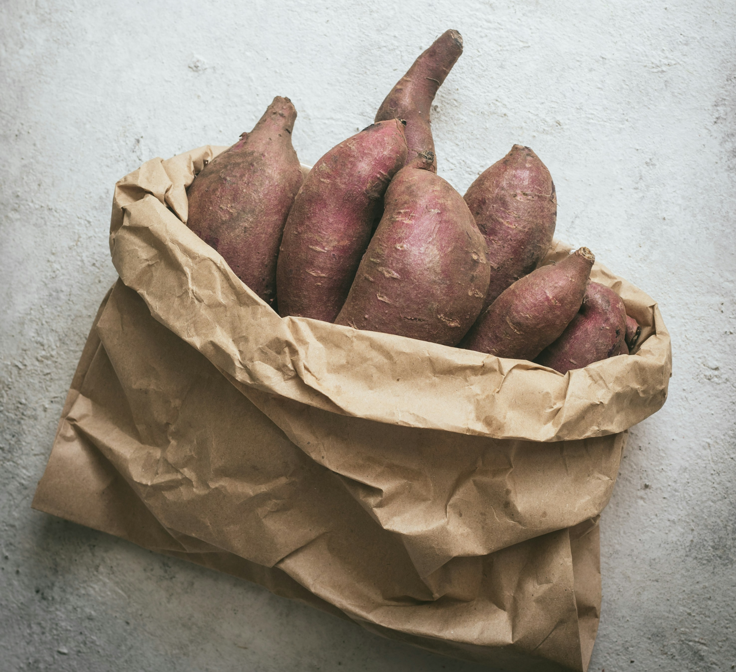 &ldquo;1인 농업 창업 준비일지 7편 - 고구마는 삶의 보물, 첫 수확의 기쁨과 작지만 확실한 수익까지&rdquo;