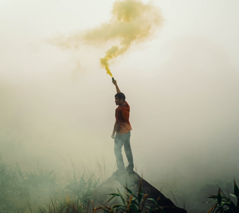 노래의 화답하는 사진