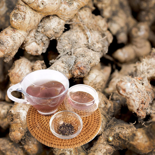 파비플로라와 알파CD