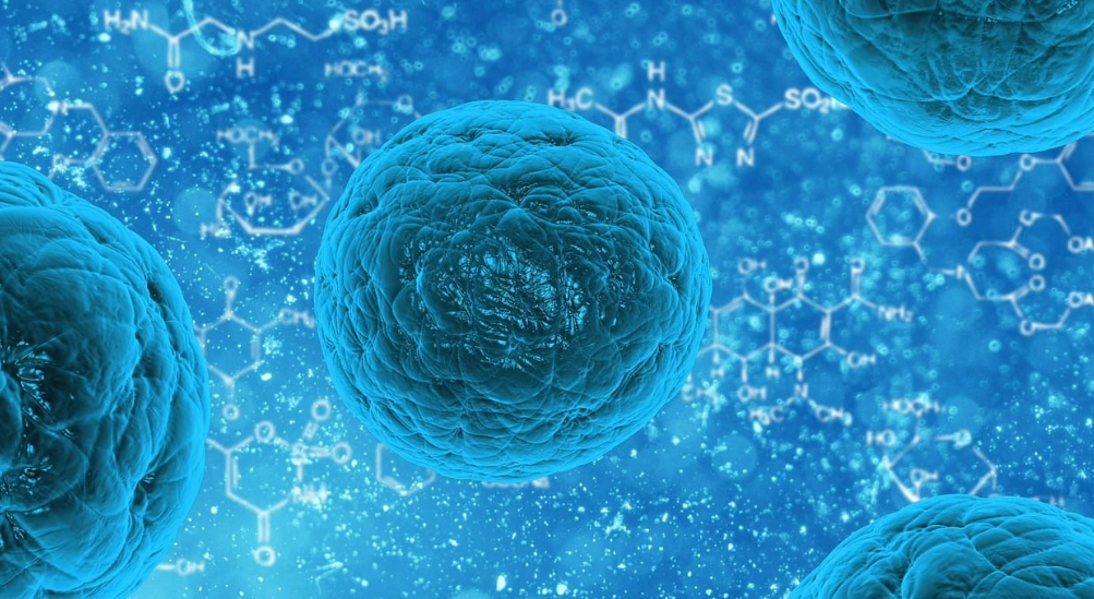 미래를 출력하다 &ndash; 장기&middot;혈관까지 만드는 3D 바이오프린팅 혁신