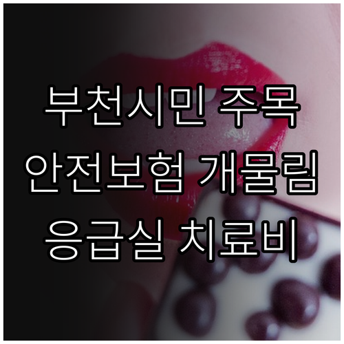 부천시민 주목 2025 시민안전보험 ..