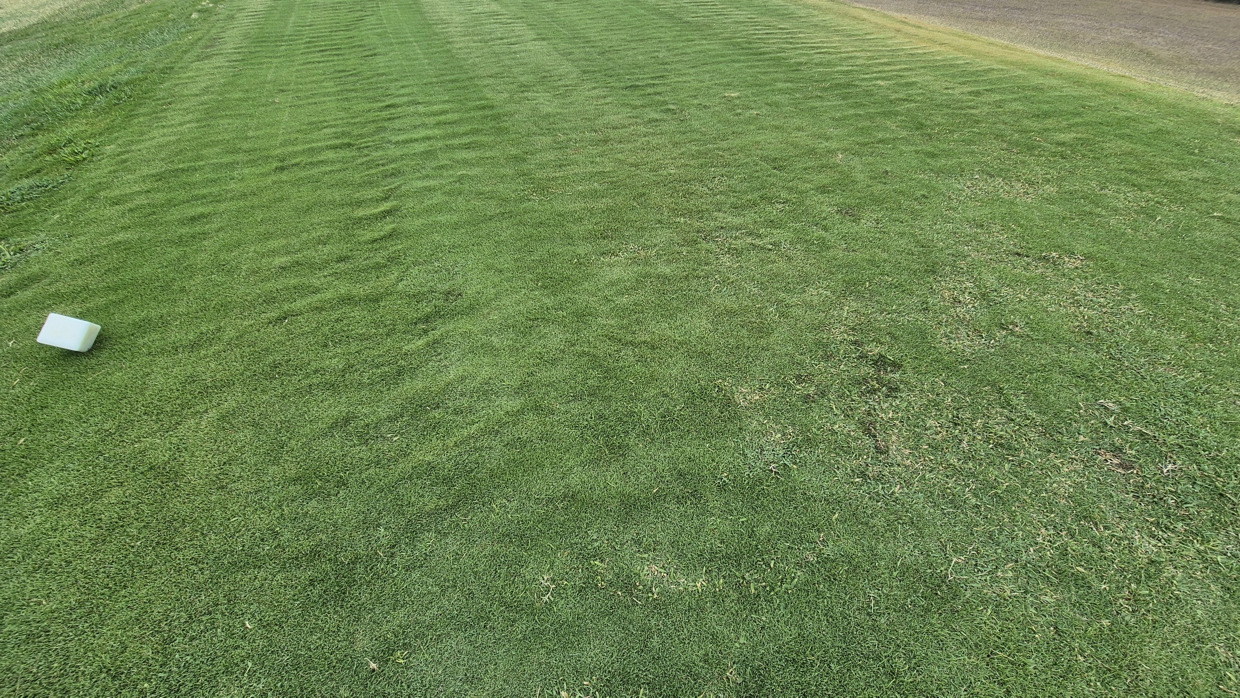 코랄오션cc 골프 라운드