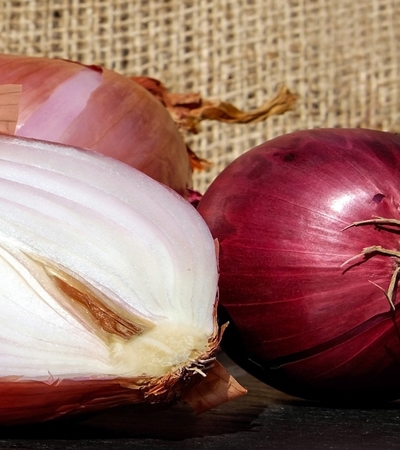 양파 효능 사진39