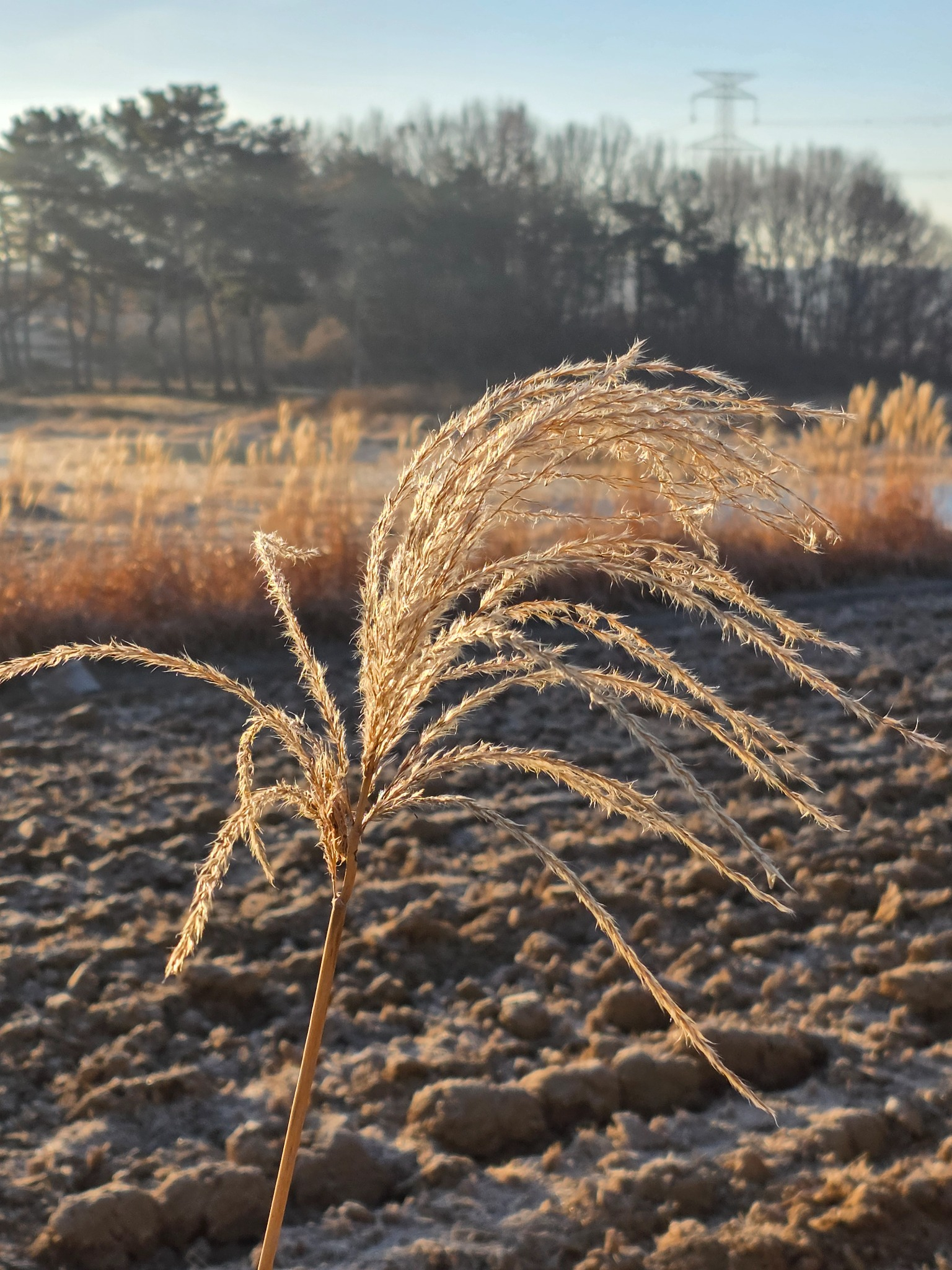 콘트레일 원리, 4발 엔진 항공기, 항공기 엔진 구조, 터보팬 엔진, 대형 여객기 종류, 항공 안전 기술, 고도 10km 기온, 항공 연료 연소 원리, 항공기 구조 분석, 항공 산업 기술