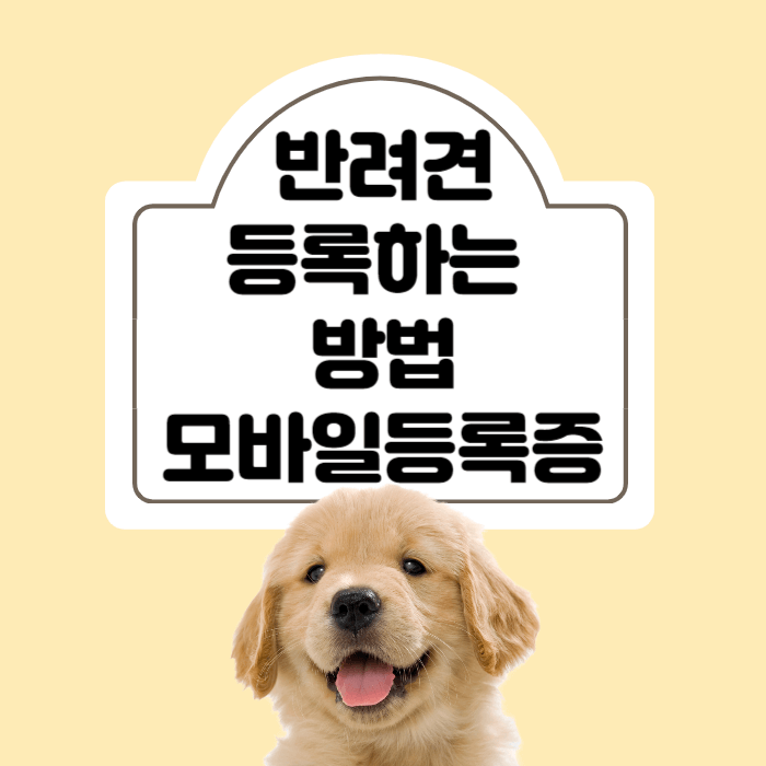 반려견 등록방법