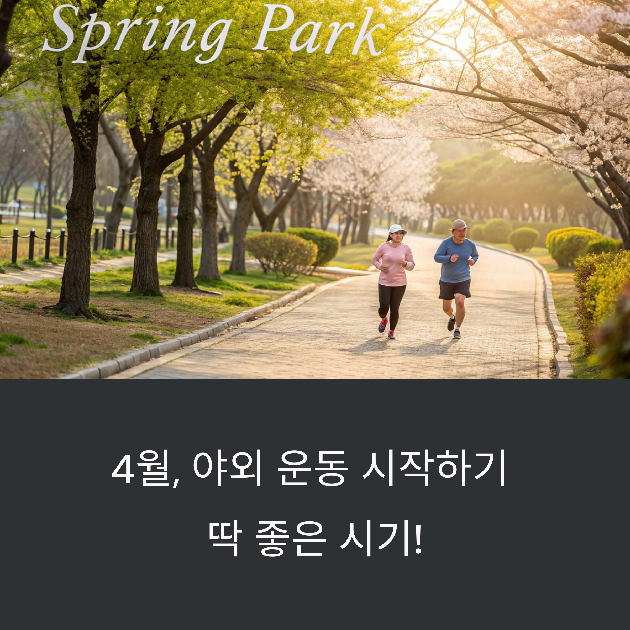 4월 추천 운동 장소: 공원 vs 러닝 트랙 - 40대를 위한 최적의 선택