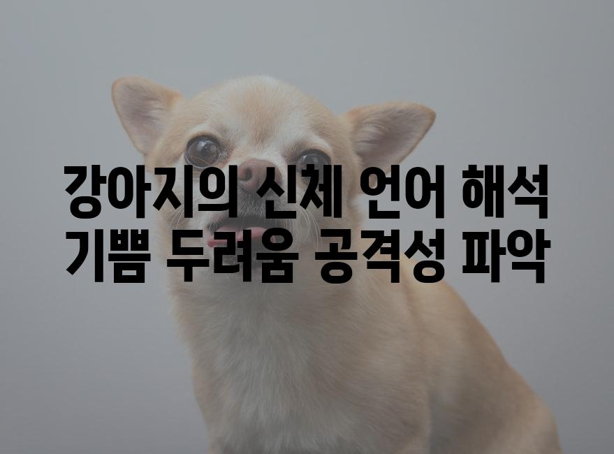 강아지의 신체 언어 해석 기쁨 두려움 공격성 파악