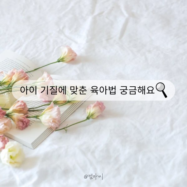 아이 기질육아법 궁금해요