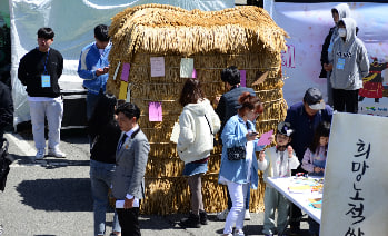 전국 벚꽃 봄꽃 축제 추천 Best 5