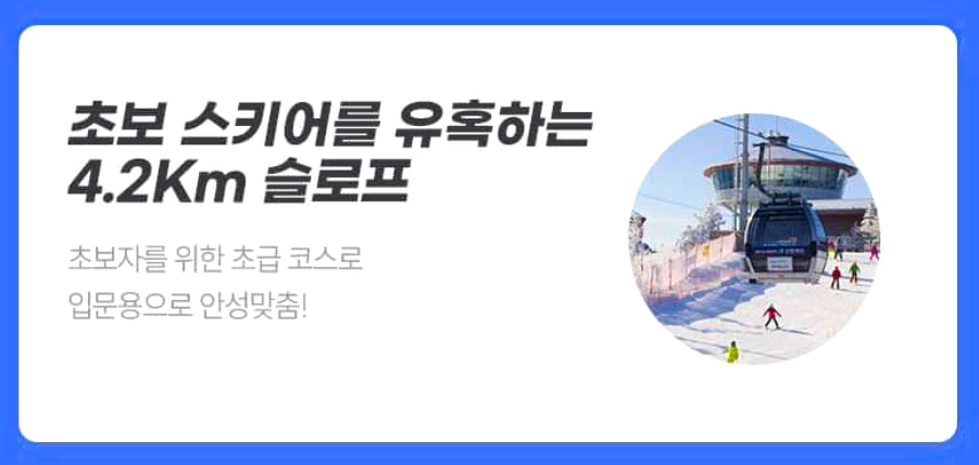 하이원 리조트 리프트권