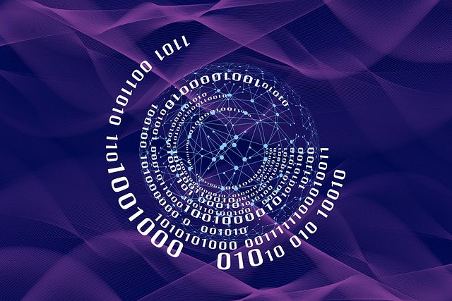 툴디 블랙프라이데이 혜택 총정리! 1년 무료 이용법 공개