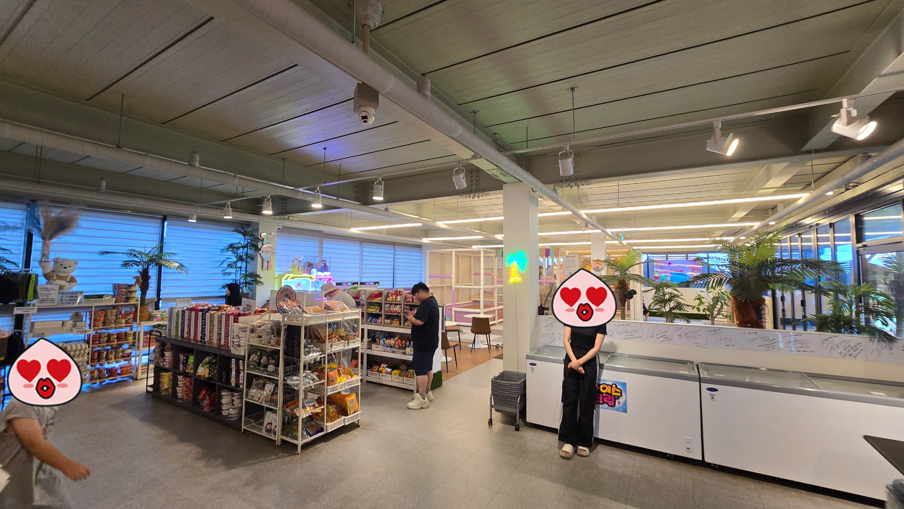 야자수 캠핑 바베큐 실내 물건 파는 매장 사진