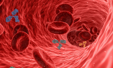 카카오닙스 효능