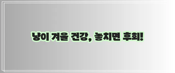 고양이 겨울철 건강 관리 꿀팁, 꼭 확인하세요!