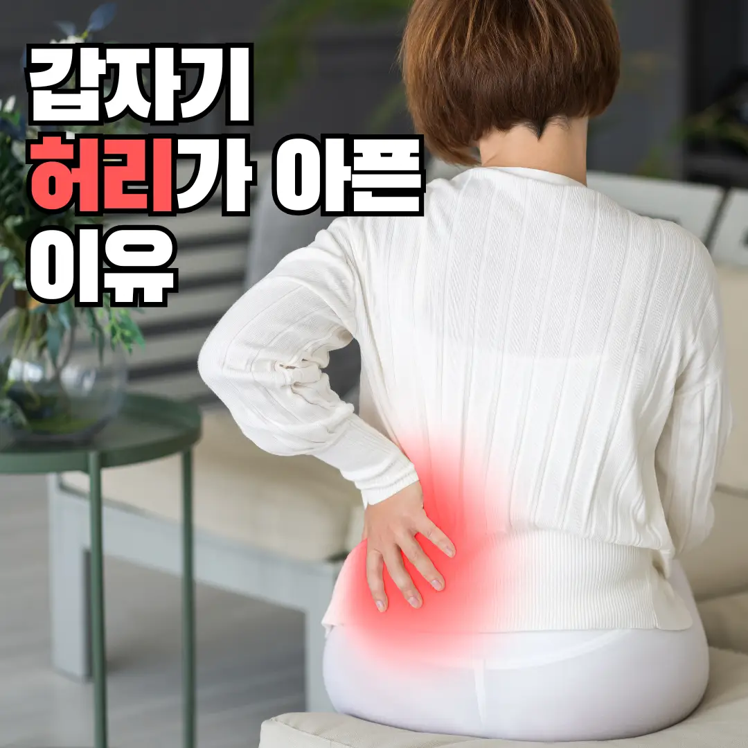 갑자기허리가아픈이유