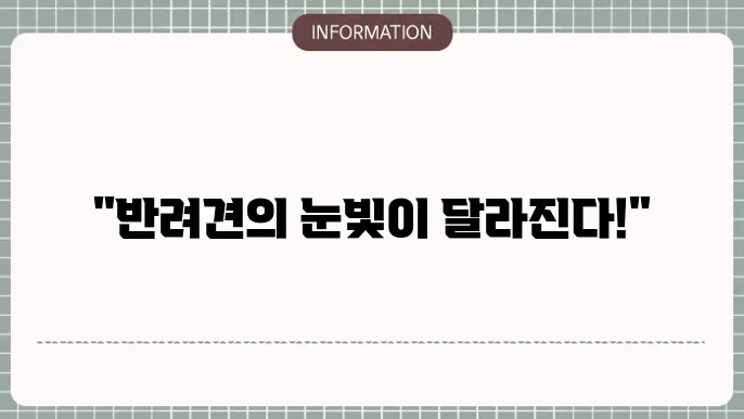 강아지 백내장 수술 후 변화