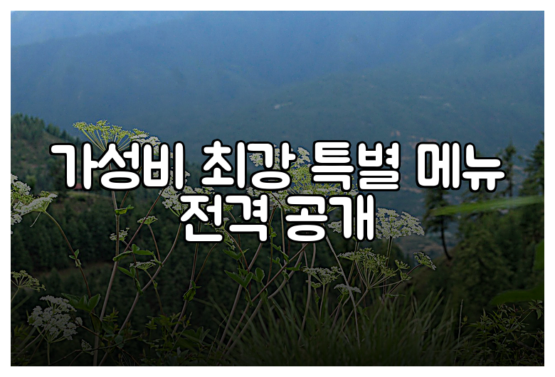 가성비 최강 특별 메뉴 전격 공개