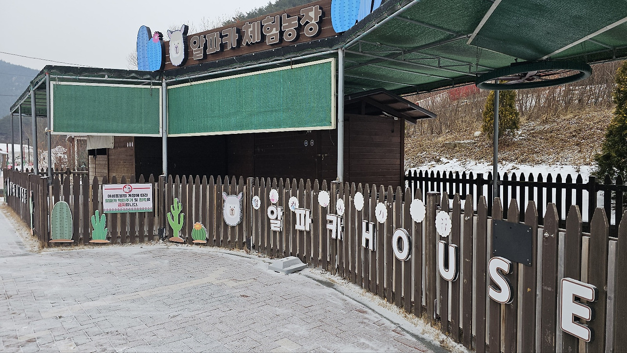 분천산타마을 방문 후기