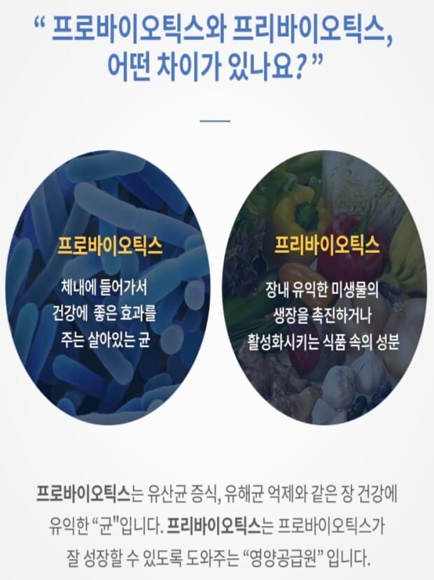 프로바이오틱스 프리바이오틱스