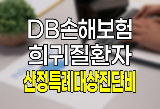 DB손해보험 희귀질환자산정특례대상진단비 보험 상세 분석 및 가입 가이드