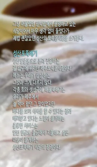 성산포항 여객터미널 우도 배시간표 배편 예약 요금_22